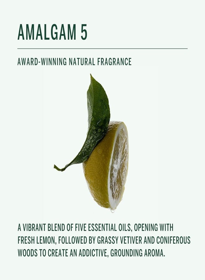 Corpus - Amalgam 5 Aromatic Hand Wash with Argan Oil + Vitamin E | Cleanse, Soften, Smooth, Refresh | Vegan, Plant-Based, Cruelty-Free, Non-Toxic, Made In The USA (10 fl oz) - Image 3